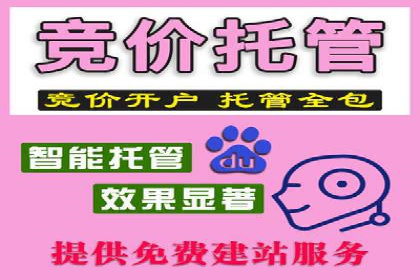 成功案例：竞价推广助力品牌打造知名品牌